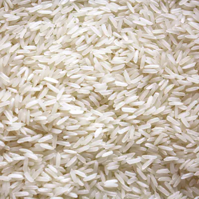 Thai Hom Mali jasmine rice grains