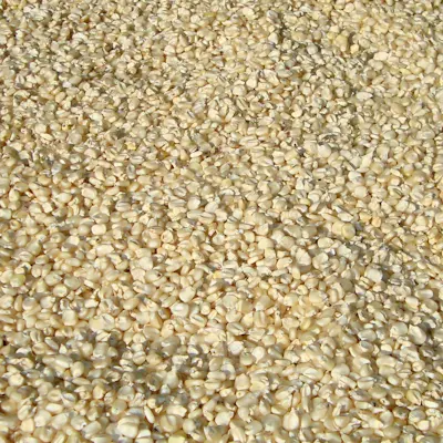 Pakistani natural white sesame seeds